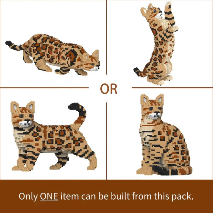 Bengal Cat 4-in-1 Pack 01S-M01