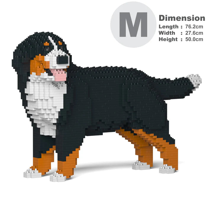 Bernese Mountain Dog 03