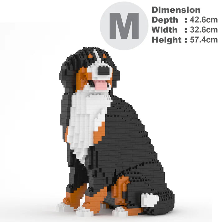 Berner Sennenhund 05B 