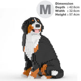 Bernese Mountain Dog 05B