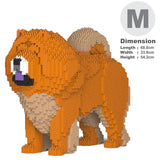 Chow Chow 02-M02