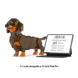 Dachshund 02-M02