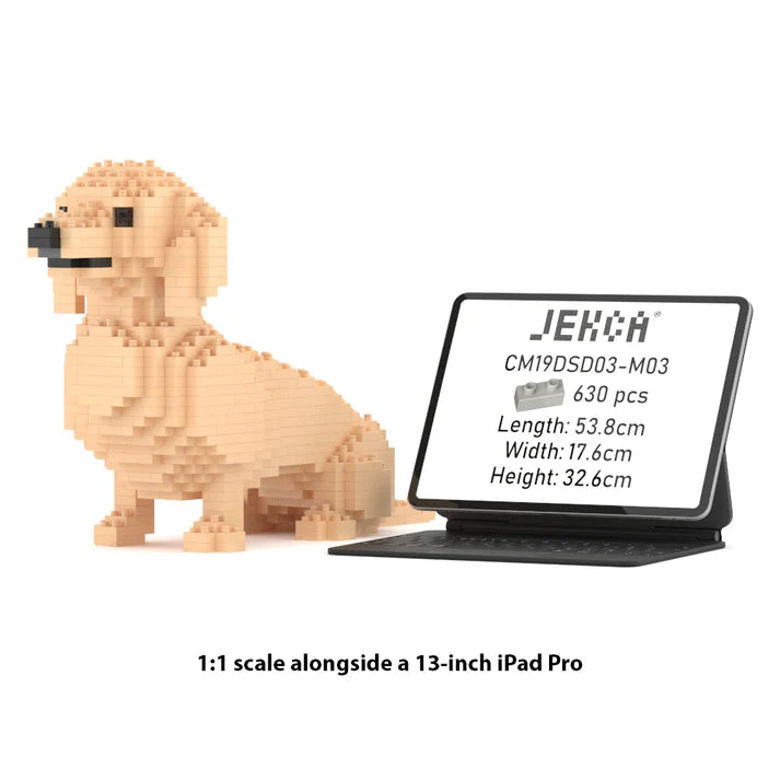 Dachshund 03-M03