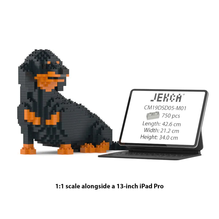 Dachshund 05-M01