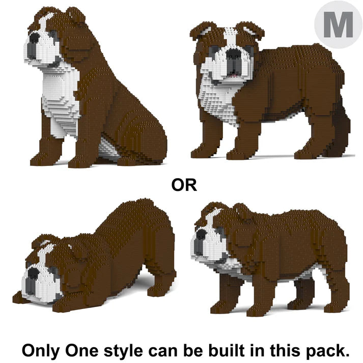 Englische Bulldogge 4-in-1 Paket 01-M01 