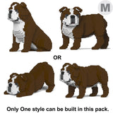 Englische Bulldogge 4-in-1 Paket 01-M01 