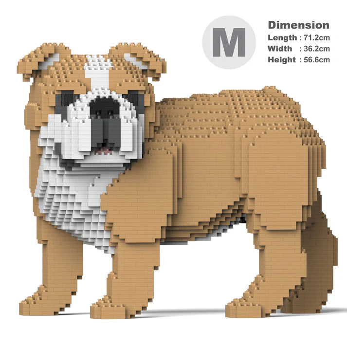 Englische Bulldogge 4-in-1 Paket 01-M03 