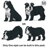 Englische Bulldogge 4-in-1 Paket 01-M04 