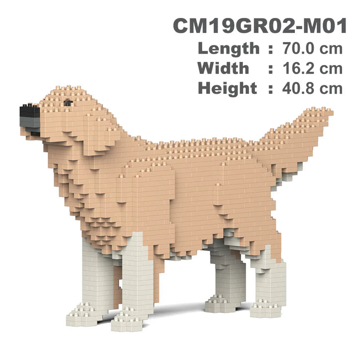 Golden Retriever 02-M01 