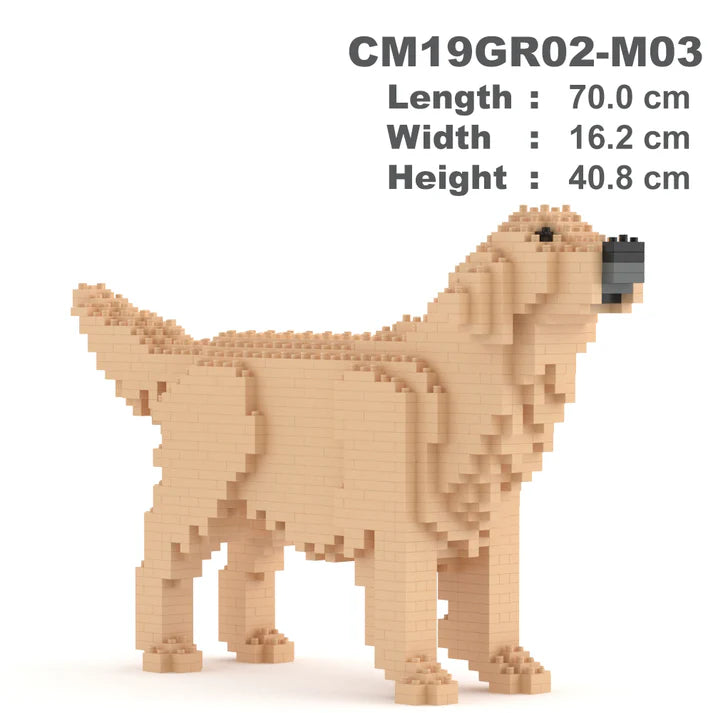 Golden Retriever 02-M03 