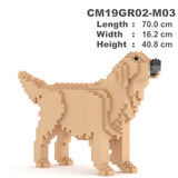 Golden Retriever 02-M03