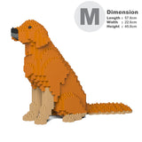 Golden Retriever 03-M02 