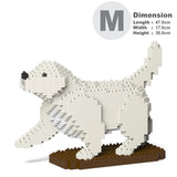 Golden Retriever 05-M01 