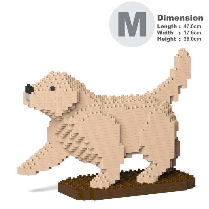 Golden Retriever 05-M02