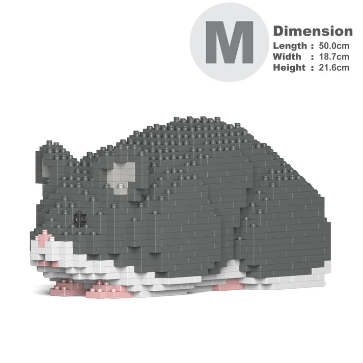 Hamster 02-M02 