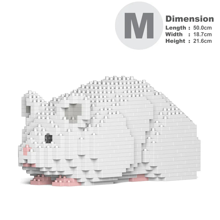 Hamster 02-M04 