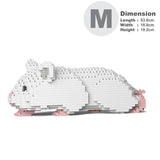 Hamster 03-M04