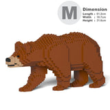 Brown Bear 01