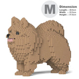 Pomeranian 02-M04