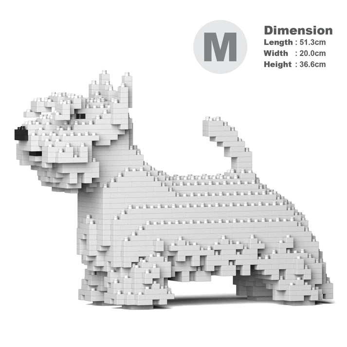 Scottish Terrier 01-M02 