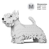 Scottish Terrier 01-M02