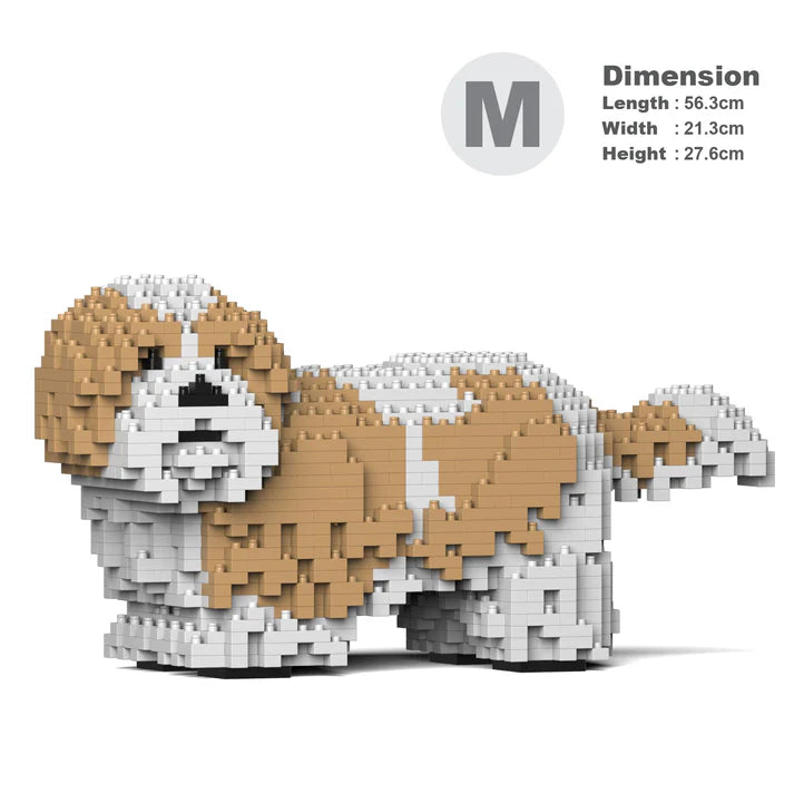 Shih Tzu 01-M04 