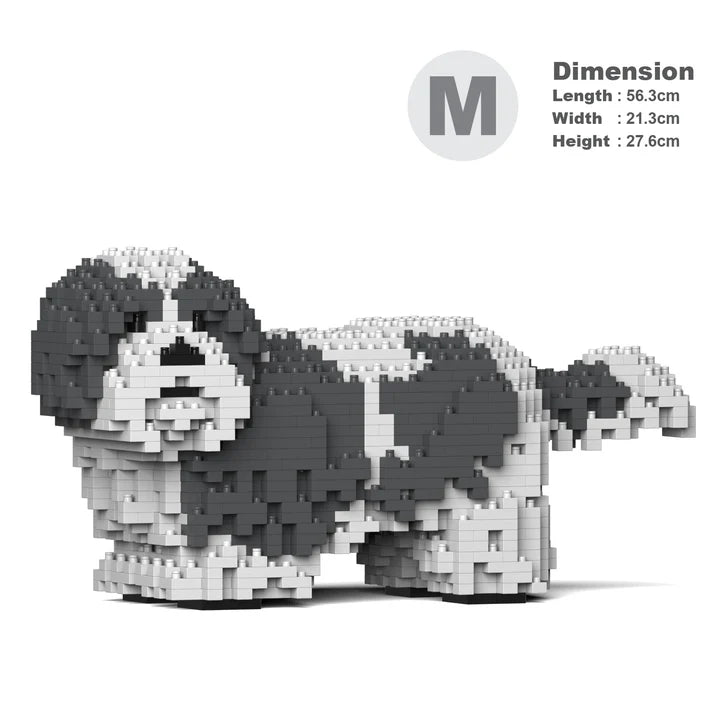 Shih Tzu 01-M05