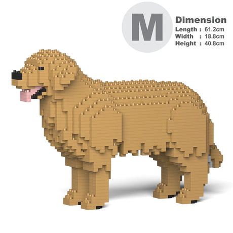 Golden Retriever 01-M04 