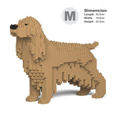 Englischer Cocker Spaniel 01-M01 