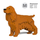 Englischer Cocker Spaniel 01-M03 