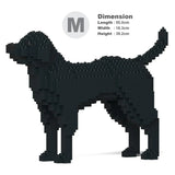 Labrador Retriever 01-M03