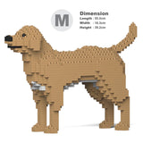 Labrador Retriever 01-M04