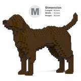 Labrador Retriever 01-M05 