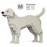 Labrador Retriever 01-M06 