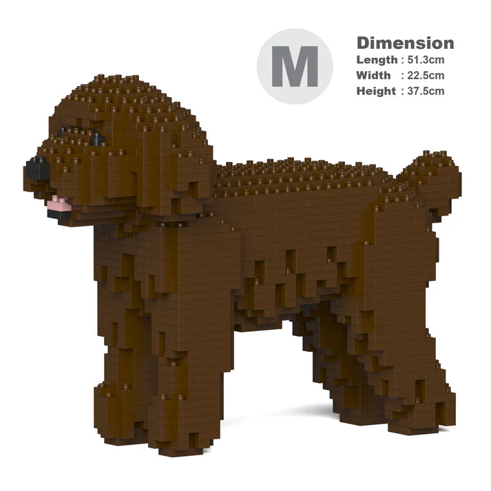 Toy Poodle 01-M05