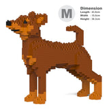 Pinscher miniatura 01-M02 