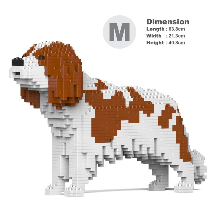 Cavalier King Charles Spaniel 01-M01