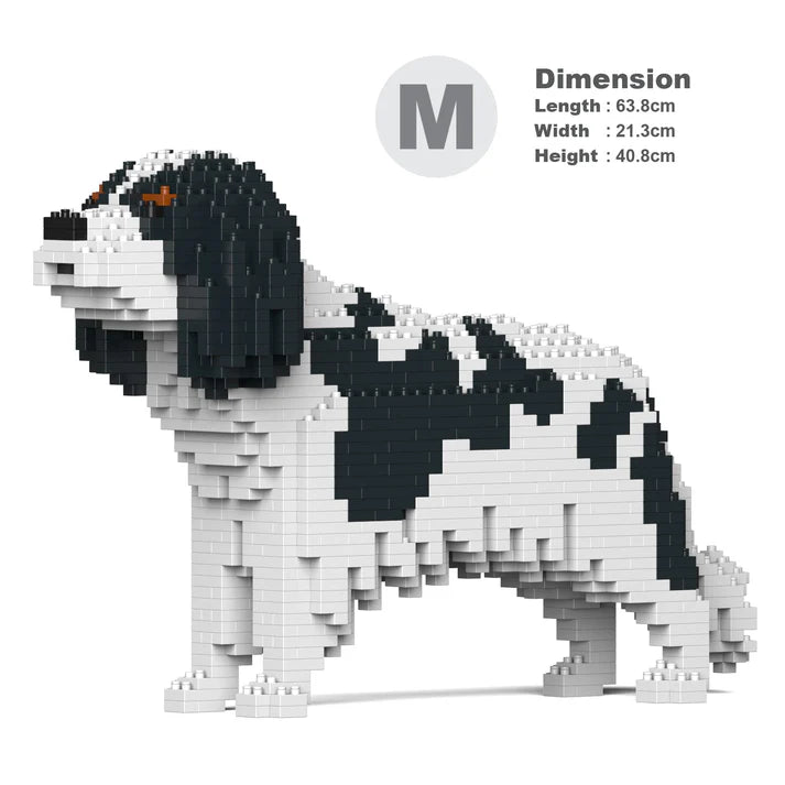 Cavalier King Charles Spaniel 01-M02 