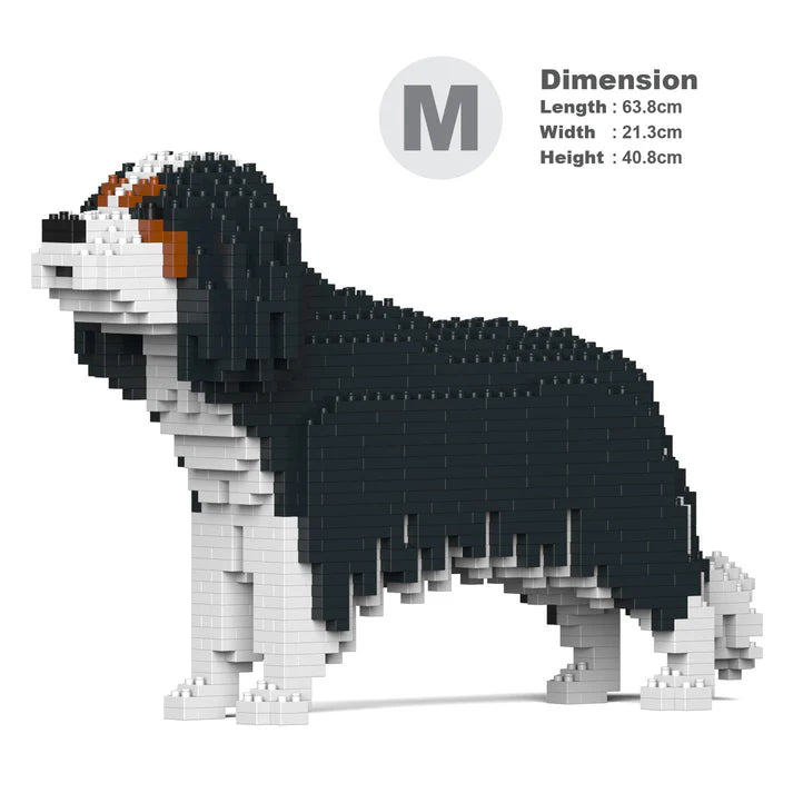 Cavalier King Charles Spaniel 01-M03 