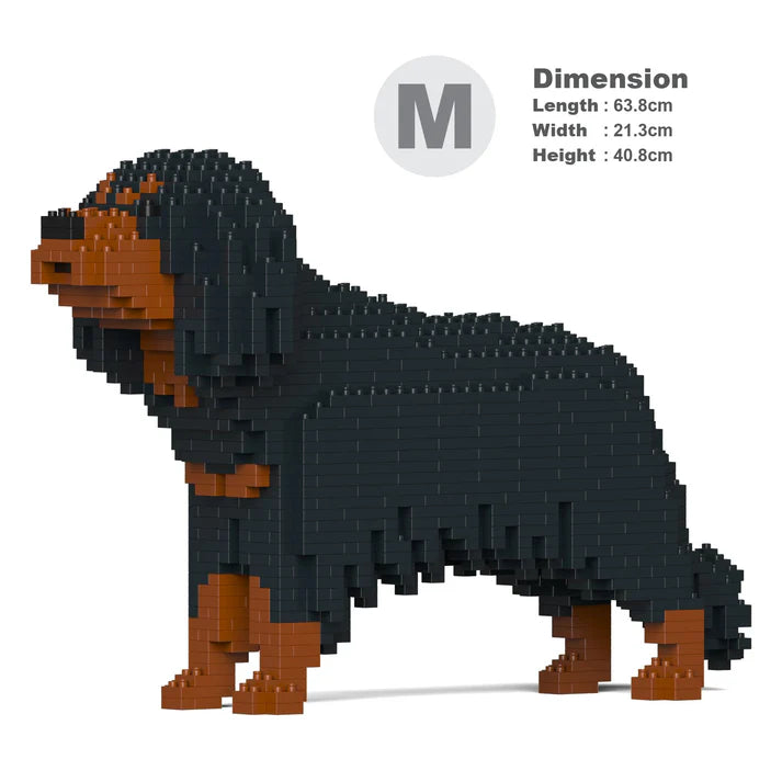 Cavalier King Charles Spaniel 01-M04