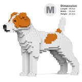 Jack Russell Terrier 01-M01 