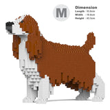 English Springer Spaniel 01-M01 