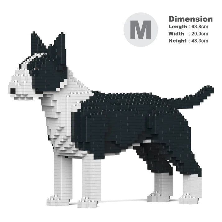 Bull terrier inglés 01-M01 