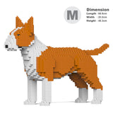 Englischer Bullterrier 01-M02 