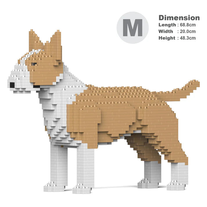 English Bull Terrier 01-M04