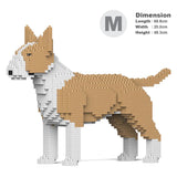 Englischer Bullterrier 01-M04 