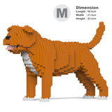 Staffordshire bull terrier 01-M01 