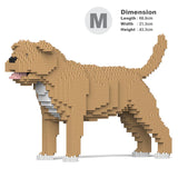 Staffordshire Bullterrier 01-M03 