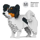 Papillon Dog 01-M01