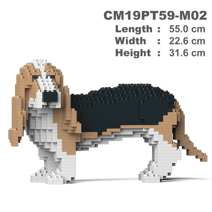 Perro Basset 01-M02 